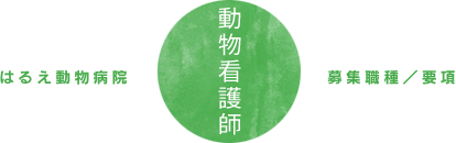 はるえ動物病院　募集職種／要項　動物看護師